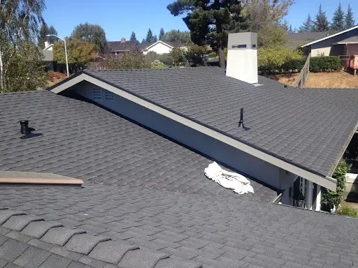 Trim Painting